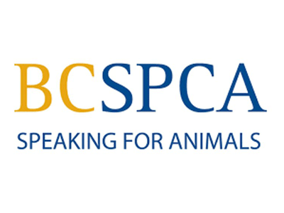 BC-SPCA1